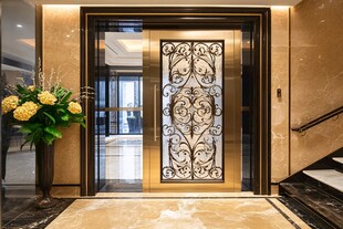 豪华别墅精致铁艺入户门
