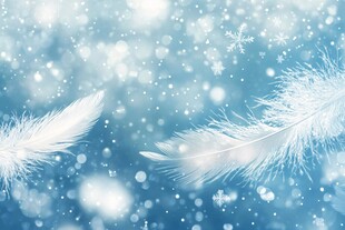 梦幻蓝背景下的轻柔羽毛