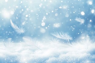 梦幻飘羽雪景背景图