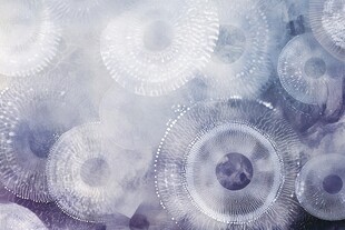 梦幻空灵的圆形图案纹理