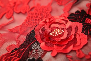 红色蕾丝刺绣花朵细节