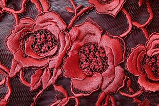 红色花卉刺绣面料特写