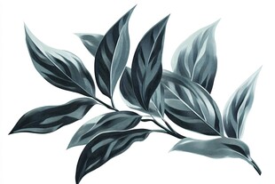 蓝绿色叶片植物插画