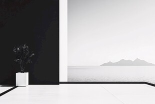 极简空间中的绿植与海景