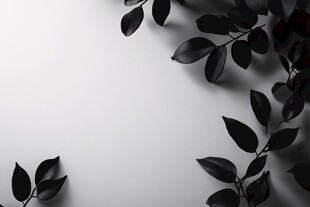 黑白叶影 简约装饰背景