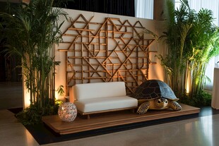 室内热带风沙发绿植布景