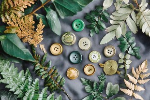 复古纽扣与绿植的创意组合