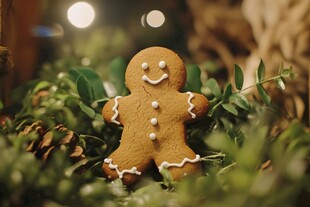 可爱姜饼人置身绿植间