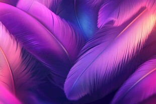 梦幻紫粉羽毛特写