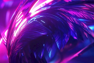 梦幻炫彩羽毛光影特写