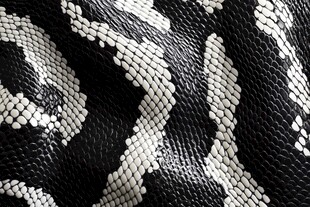蛇皮纹理图案特写