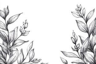手绘植物枝叶装饰图案