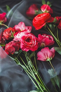 娇艳花束绽放迷人魅力