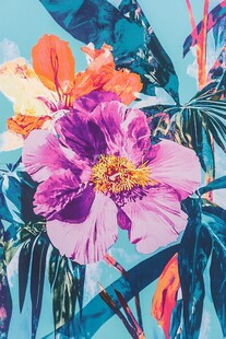 绚丽热带花卉水彩插画