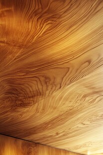 木纹之美 展现自然纹理