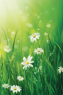 春日草地雏菊清新美景