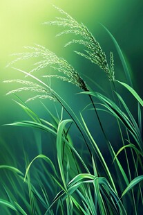 阳光下的翠绿芦苇草