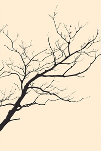 枯树枝干的简约艺术图景