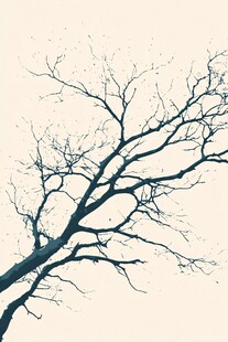 孤独枯树映灰白天空