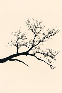 枯树枝剪影