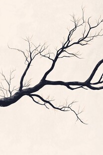 枯树枝的孤寂之美