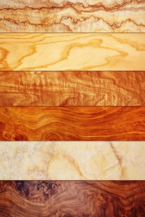 多样木纹与石纹纹理集合