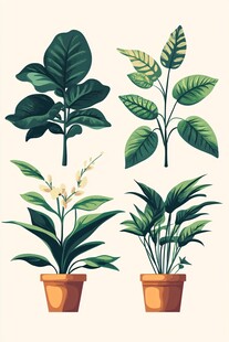 四盆绿植插画展示