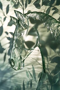 透明玻璃马头的光影之美