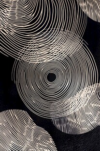 黑白线条构成的抽象圆形图案