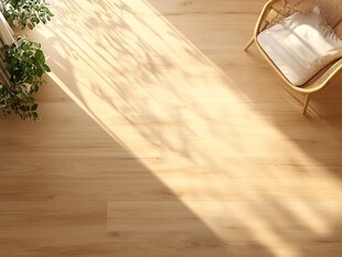 阳光洒落的温馨室内角落