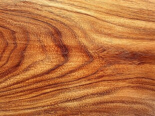 木纹特写 自然质感木材纹理