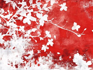 红底白花抽象艺术图案