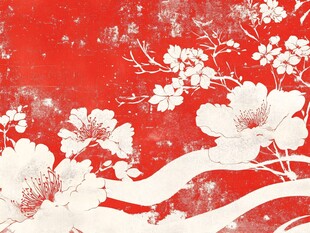 红底白花中式典雅图案