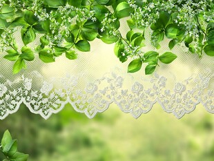 绿叶蕾丝边 清新自然风