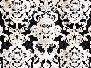 黑白蕾丝花纹精致图案