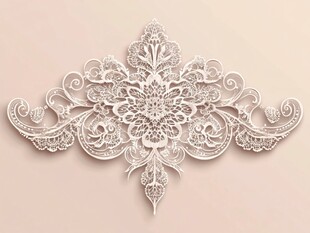 精致白色蕾丝花纹装饰图案