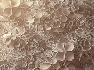 米白色蕾丝花朵纹理图案