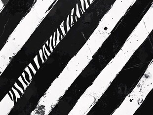 黑白条纹抽象艺术背景图