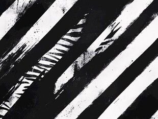 黑白条纹抽象艺术纹理