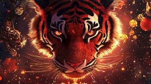 火焰猛虎迎喜庆节日氛围
