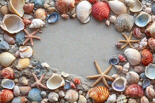 心形贝壳沙滩美丽组合