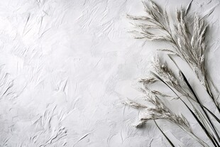 白色墙面的干枯植物装饰