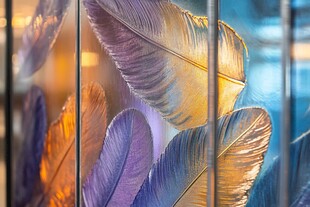 梦幻炫彩羽毛玻璃艺术