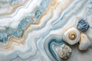 蓝白大理石上的贝壳奇石