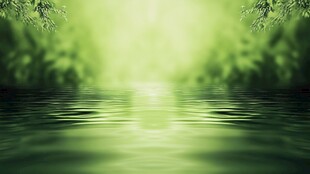 绿意盎然的水畔自然景致