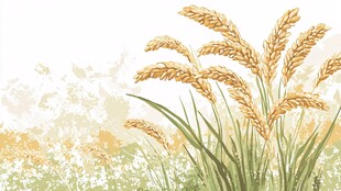 金黄麦穗田园风插画