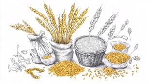 丰收景象 多样谷物与容器