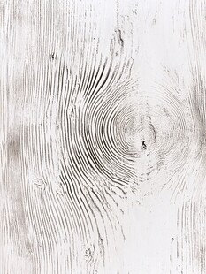 灰白木纹纹理特写