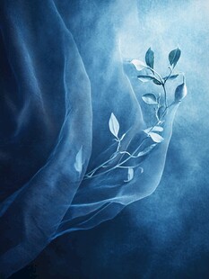 梦幻蓝纱中的清新枝叶