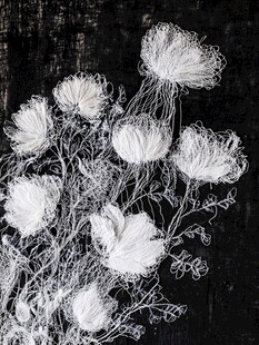 黑白线条勾勒的花卉世界